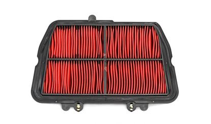 Picture of MIW Premium Air Filter Triumph Tiger 800 10-17 Ref: HFA6501 T23101