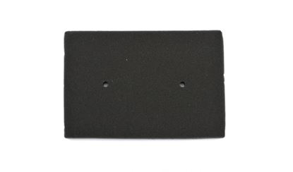 Picture of MIW Premium Air Filter Kawasaki EX250 & EX300 Ninja 08-19 Ref: HFA2505