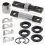 Picture of Lower A-Arm Bearing & Seal Kit Kawasaki KFX450R 08-14