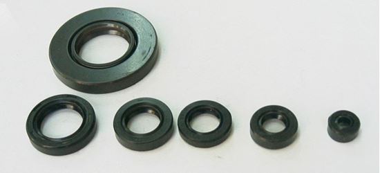 Picture of TourMax Engine Oil Seal Kit Honda MT80 80 (6 Seals) Pack Quantity Kit