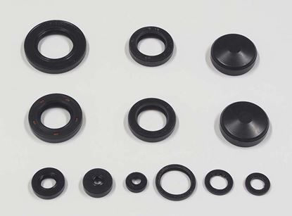 Picture of TourMax Engine Oil Seal Kit Honda GL1500 Goldwing 93-94 (11 Seals) Pack Quantity Kit