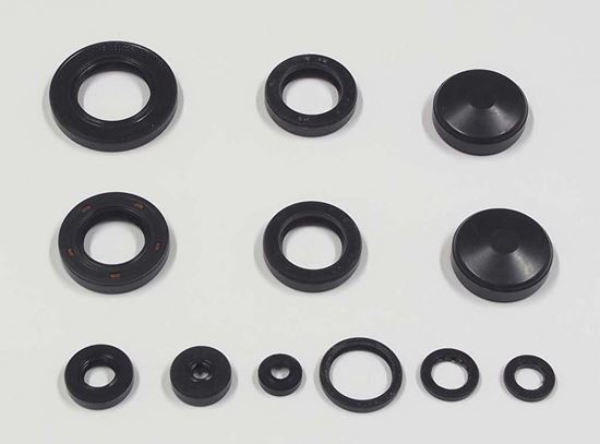 Picture of TourMax Engine Oil Seal Kit Honda GL1500 Goldwing 93-94 (11 Seals) Pack Quantity Kit
