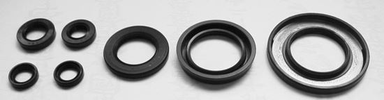 Picture of TourMax Engine Oil Seal Kit Yamaha XJ600S 97-99 (7 Seals) Pack Quantity Kit