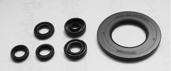 Picture of TourMax Engine Oil Seal Kit Yamaha YZF1000R 96-00, FZR1000 89-95 (6 Seals) Pack Quantity Kit