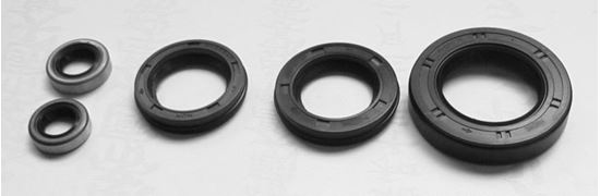 Picture of TourMax Engine Oil Seal Kit Kawasaki ZR550B2-5 91-94, ZX600C1-9 88-96, ZX600A1 (5 Seals) Pack Quanti