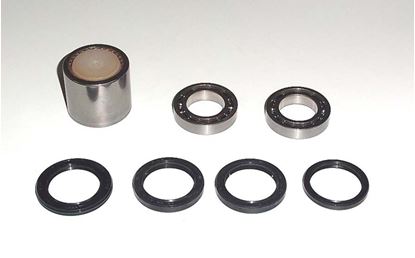 Picture of TourMax Swing Arm Bearings & Seals Honda CBR900RR Fireblade 00-01 (Kit)