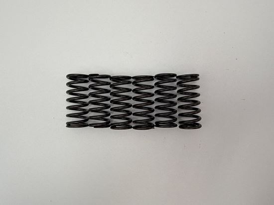 Picture of Clutch Spring Kit for 1984 Suzuki DS 80 D