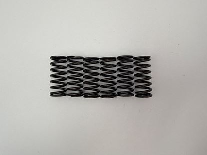 Picture of Clutch Spring Kit for 2011 Yamaha WR 250 FA (4T) (1HC3)