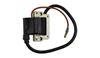 Picture of Ignition Coil for 1976 Yamaha YZ 250 C (509) (2T)